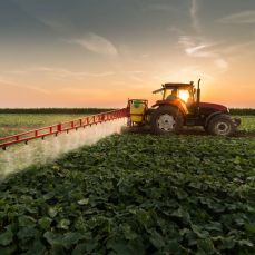 Agricultural Herbicides